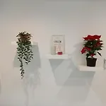 Ponce * ヘレス